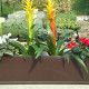 fiori ascendenti